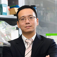 Photo of Maia Chankseliani, PhD